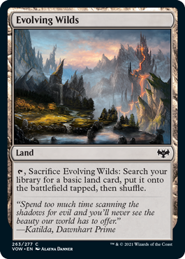 【ENG】【Foil】《進化する未開地/Evolving Wilds》[VOW]