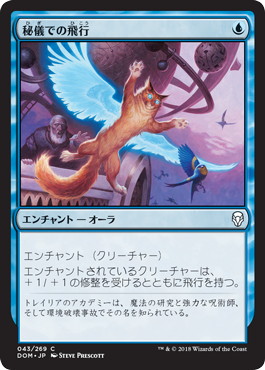 【JPN】【Foil】《秘儀での飛行/Arcane Flight》[DOM]