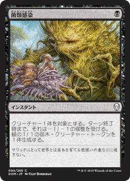 【JPN】【Foil】《菌類感染/Fungal Infection》[DOM]