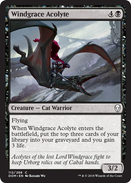 【ENG】【Foil】《ウィンドグレイスの見習い/Windgrace Acolyte》[DOM]