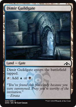 【ENG】【Foil】《ディミーアのギルド門/Dimir Guildgate》(246)[GRN]