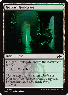 【ENG】【Foil】《ゴルガリのギルド門/Golgari Guildgate》(249)[GRN]