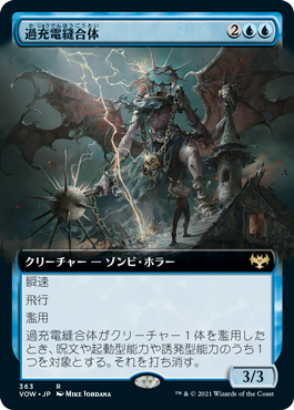 【JPN】■拡張アート■《過充電縫合体/Overcharged Amalgam》[VOW]