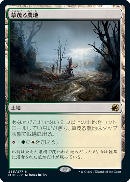 【JPN】《草茂る農地/Overgrown Farmland》[MID]