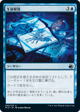 【JPN】《生体解剖/Vivisection》[MID]