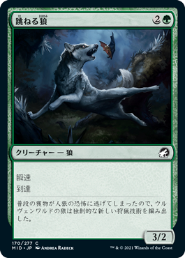 【JPN】【Foil】《跳ねる狼/Bounding Wolf》[MID]
