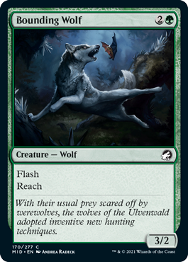 【ENG】【Foil】《跳ねる狼/Bounding Wolf》[MID]