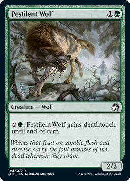 【ENG】【Foil】《伝染病の狼/Pestilent Wolf》[MID]