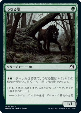 【JPN】【Foil】《うなる狼/Snarling Wolf》[MID]