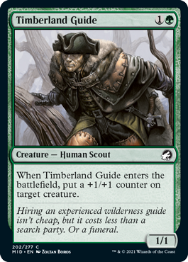 【ENG】【Foil】《森林地の先達/Timberland Guide》[MID]