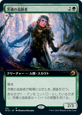 【JPN】■拡張アート■《茨橋の追跡者/Briarbridge Tracker》[MID]