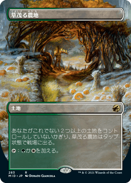 【JPN】【Foil】■ボーダーレス■《草茂る農地/Overgrown Farmland》[MID]