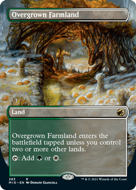 【ENG】■ボーダーレス■《草茂る農地/Overgrown Farmland》[MID]