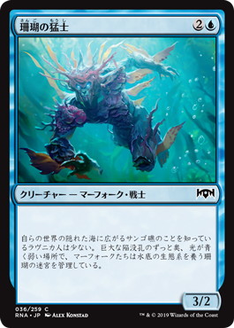 【JPN】【Foil】《珊瑚の猛士/Coral Commando》[RNA]