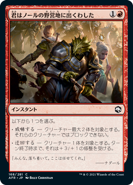 【JPN】【Foil】《君はノールの野営地に出くわした/You Come to the Gnoll Camp》[AFR]
