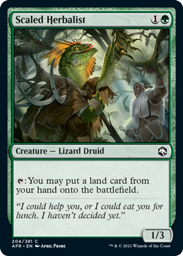 【ENG】【Foil】《鱗の薬草医/Scaled Herbalist》[AFR]