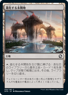 【JPN】【Foil】《進化する未開地/Evolving Wilds》[AFR]