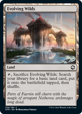 【ENG】【Foil】《進化する未開地/Evolving Wilds》[AFR]