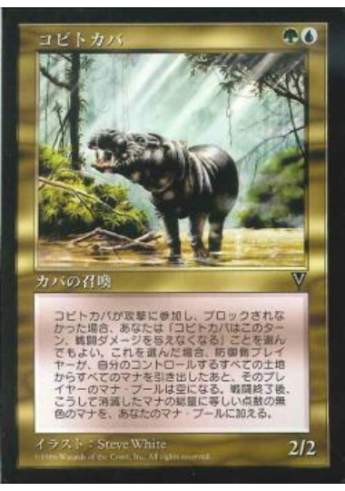 【JPN】《コビトカバ/Pygmy Hippo》[VIS]