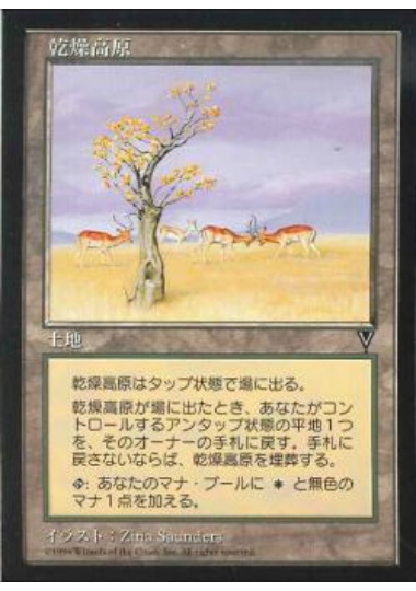 【JPN】《乾燥高原/Karoo》[VIS]