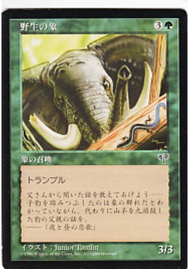 【JPN】《野生の象/Wild Elephant》[MIR]