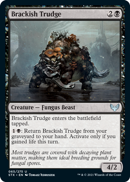【ENG】【Foil】《汽水トラッジ/Brackish Trudge》[STX]