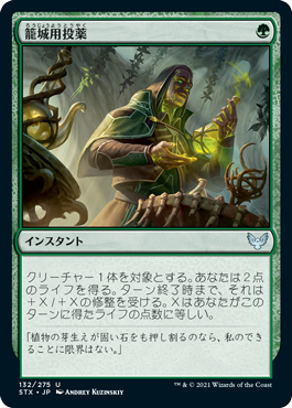 【JPN】【Foil】《籠城用投薬/Fortifying Draught》[STX]