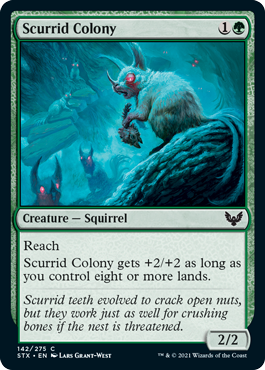 【ENG】【Foil】《スカーリドの群棲/Scurrid Colony》[STX]