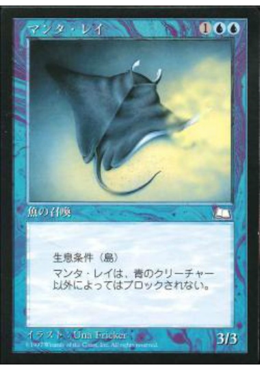 【JPN】《マンタ・レイ/Manta Ray》[WTH]
