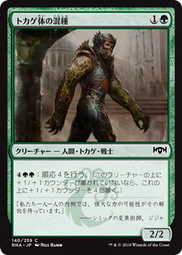 【JPN】【Foil】《トカゲ体の混種/Sauroform Hybrid》[RNA]