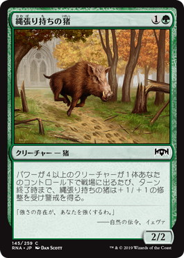 【JPN】【Foil】《縄張り持ちの猪/Territorial Boar》[RNA]