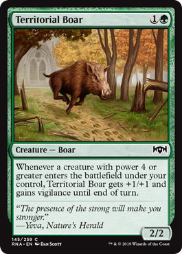 【ENG】【Foil】《縄張り持ちの猪/Territorial Boar》[RNA]