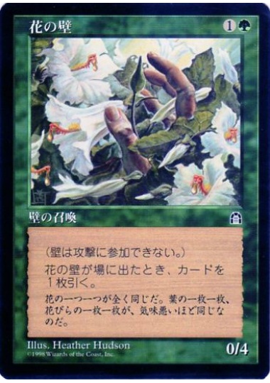 【JPN】《花の壁/Wall of Blossoms》[STH]