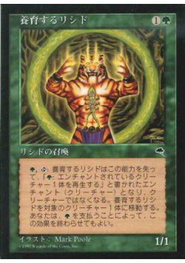【JPN】《養育するリシド/Nurturing Licid》[TMP]
