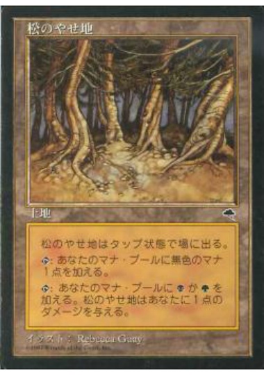 【JPN】《松のやせ地/Pine Barrens》[TMP]