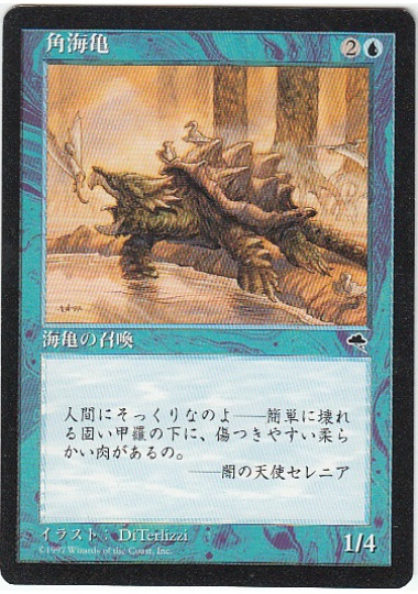 【JPN】《角海亀/Horned Turtle》[TMP]