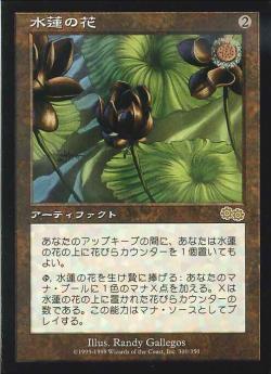 【JPN】《水蓮の花/Lotus Blossom》[USG]