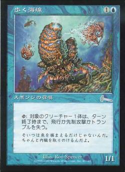 【JPN】《歩く海綿/Walking Sponge》[ULG]