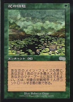 【JPN】《花の絨毯/Carpet of Flowers》[USG]