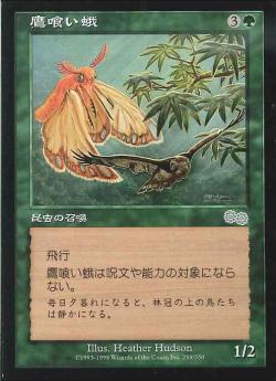 【JPN】《鷹喰い蛾/Hawkeater Moth》[USG]