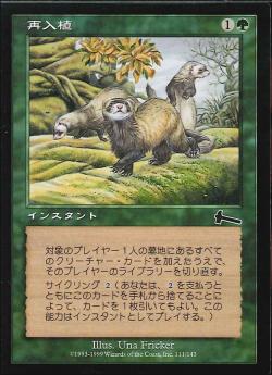 【JPN】【Foil】《再入植/Repopulate》[ULG]