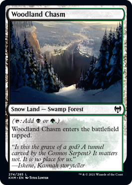 【ENG】【Foil】《森林の地割れ/Woodland Chasm》[KHM]