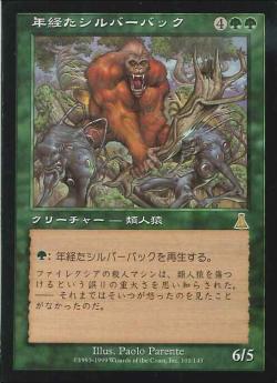 【JPN】《年経たシルバーバック/Ancient Silverback》[UDS]
