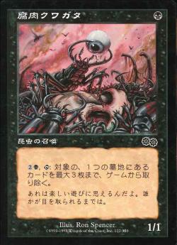 【JPN】《腐肉クワガタ/Carrion Beetles》[USG]