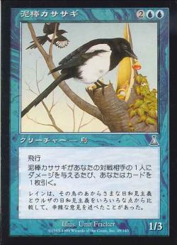 【JPN】《泥棒カササギ/Thieving Magpie》[UDS]