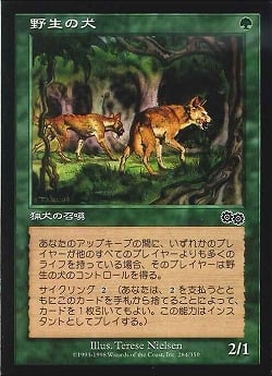 【JPN】《野生の犬/Wild Dogs》[USG]
