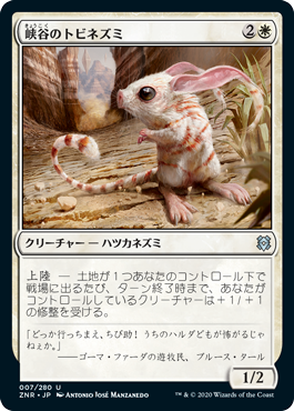【JPN】《峡谷のトビネズミ/Canyon Jerboa》[ZNR]