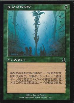 【JPN】【Foil】《キヅタの匂い/Scent of Ivy》[UDS]