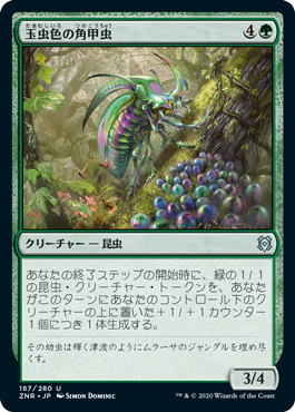 【JPN】《玉虫色の角甲虫/Iridescent Hornbeetle》[ZNR]