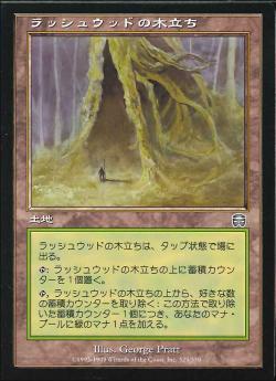 【JPN】【Foil】《ラッシュウッドの木立ち/Rushwood Grove》[MMQ]